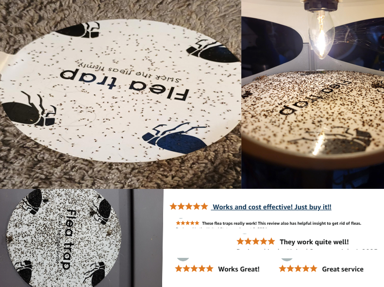 New Flea-Trapping Lamp: A Revolutionary Pest Control Solution