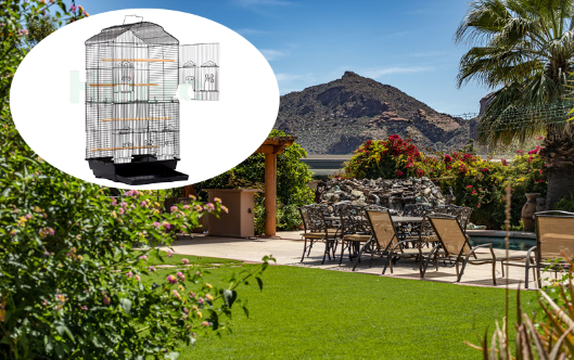 New Birdcages Available: Create the Perfect Home for Your Feathered Friends
