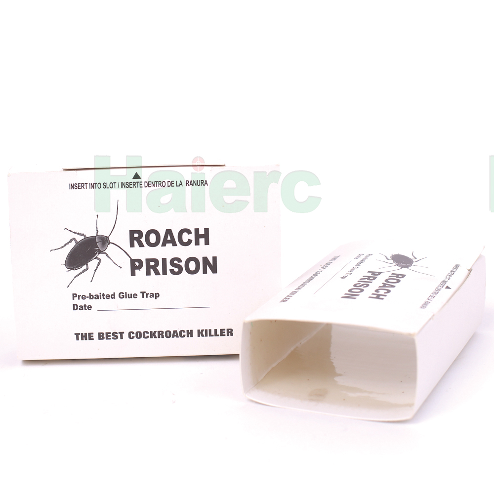 A New Environmentally Friendly Cockroach and Rat Sticky Traps: A Revolutionary Method for Pest Control