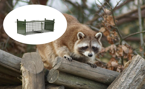 NEW PRODUCT LAUNCH: Durable Animal Trap Cage for Safe and Humane Animal Capture