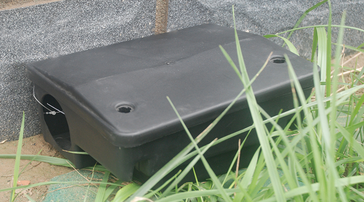 Effective rodent control: modern solutions to common problems