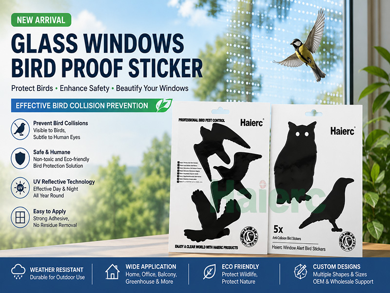 Innovative Glass Windows Bird Proof Stickers Help Prevent Bird Collisions Safely and Effectively