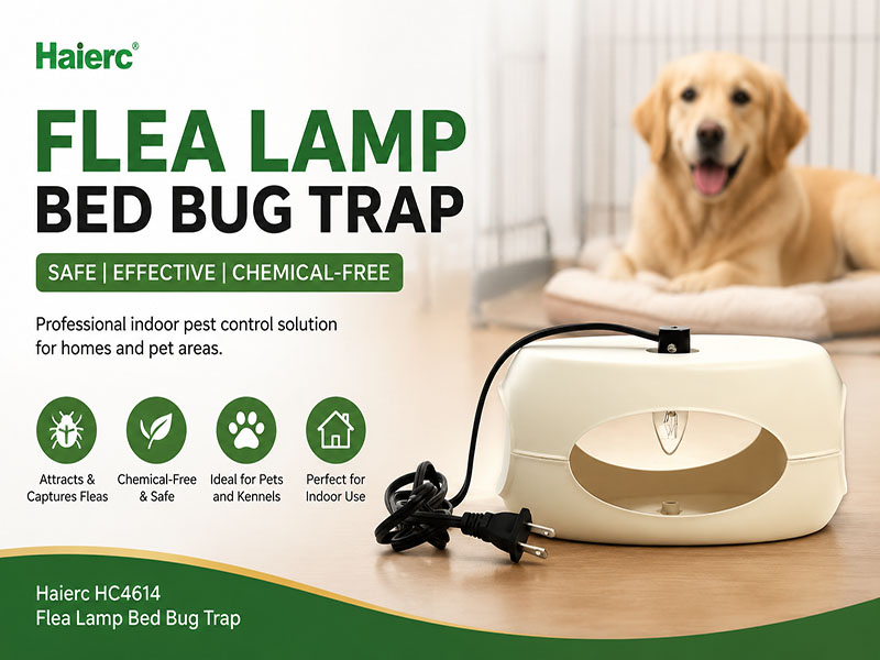 Effective Flea Control Solution: How Flea Lamp Bed Bug Trap Helps Protect Homes and Pet Areas