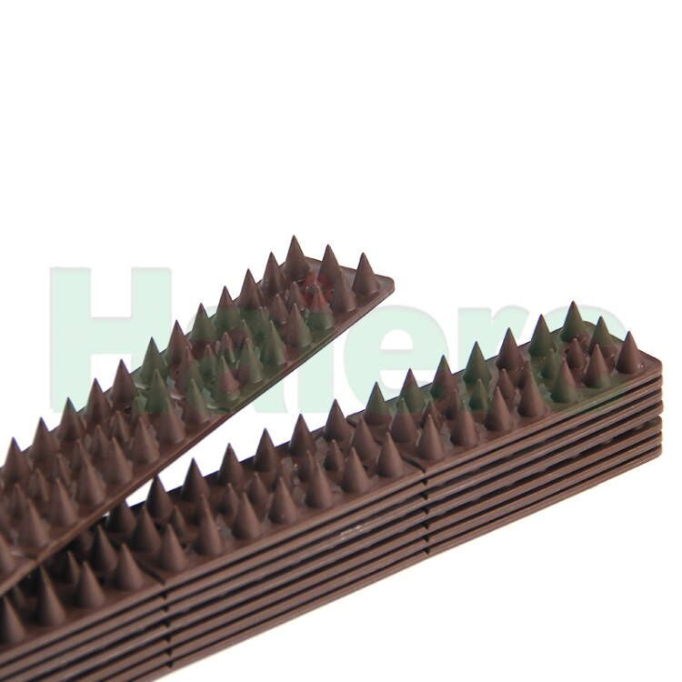 Haierc Pests Control Product Bird Cat Intruder Deterrent Repellent Wall Fence Spikes HC1117-W2