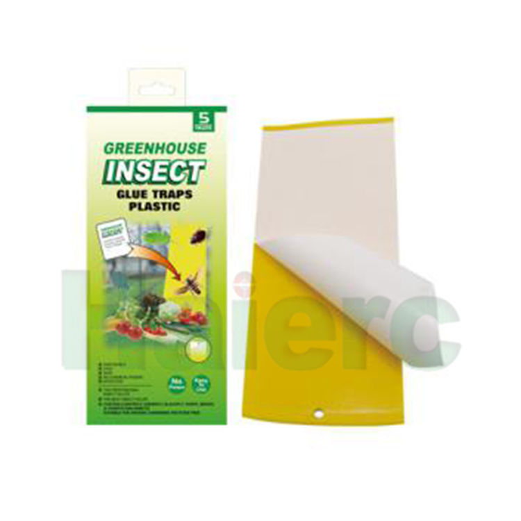 Haierc yellow sticker fruit fly sticky traps for insect trap HC4207