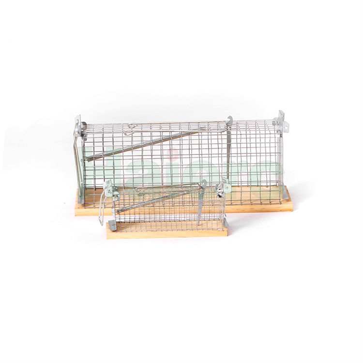 Haierc Signgle Door Mouse/Rat Trap Cage HC26000WS