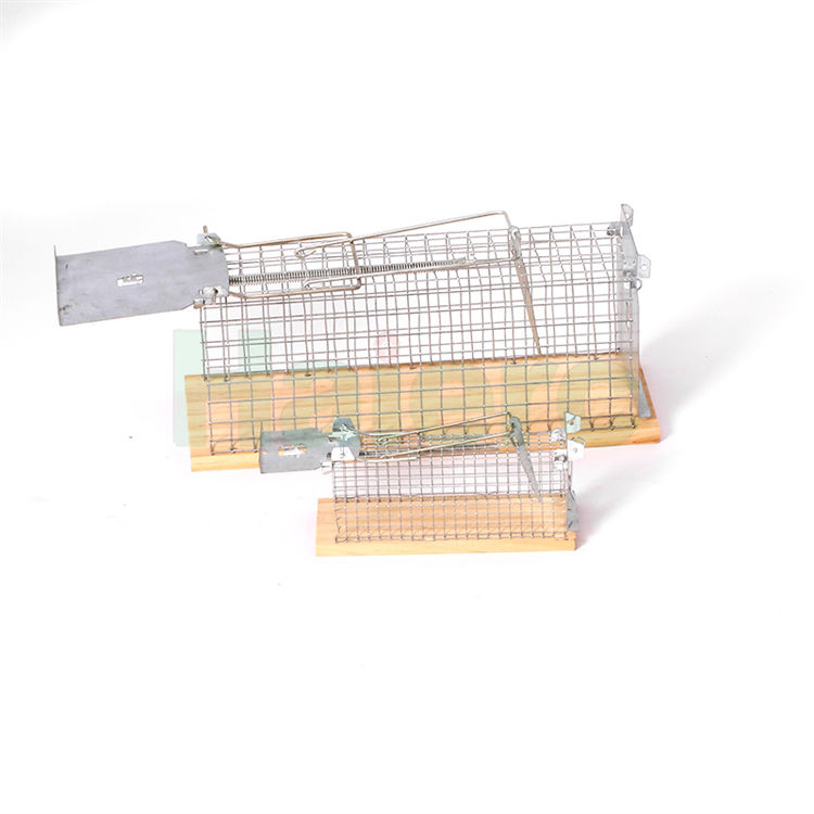 Haierc Signgle Door Mouse/Rat Trap Cage HC26000WM