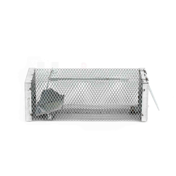 Haierc Signgle Door Mouse/Rat Trap Cage HC2601S