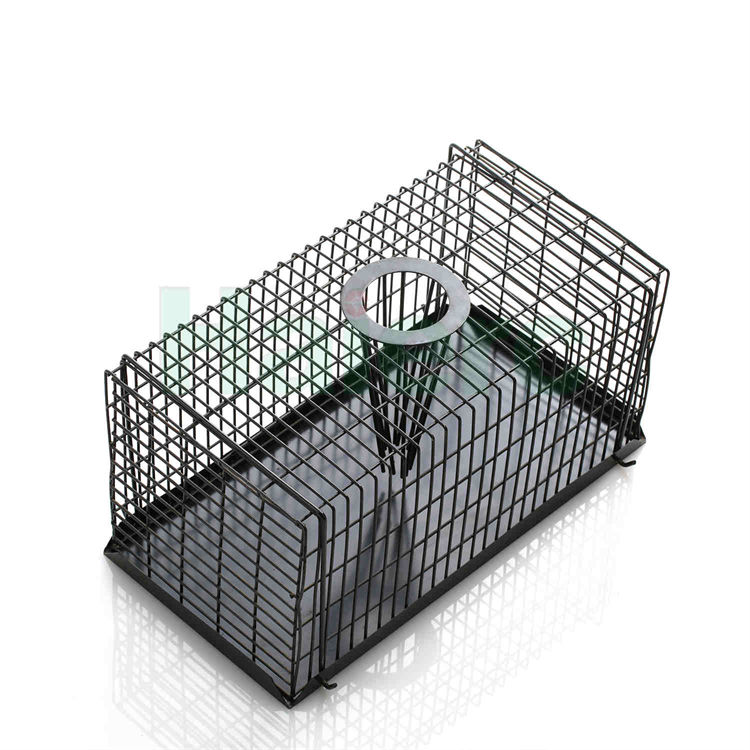 Haierc Top Enter Rat/Mouse Trap Cage HC2602