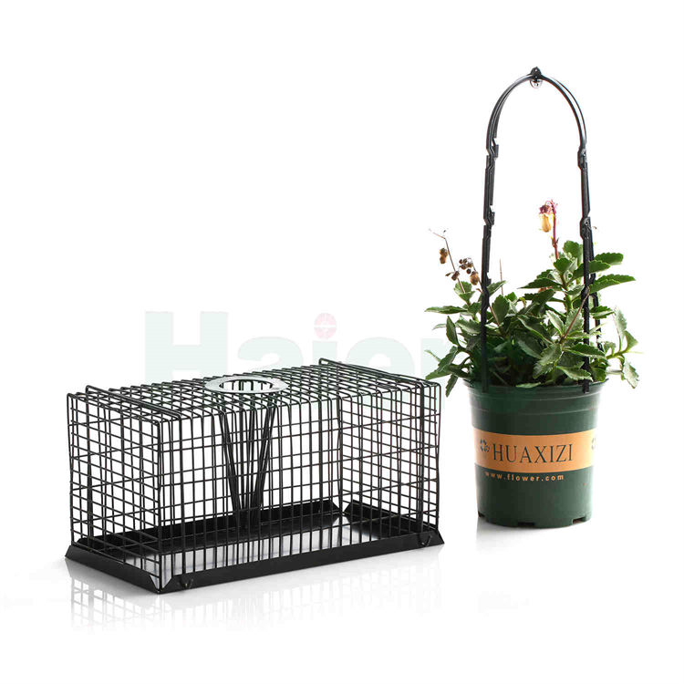 Haierc Top Enter Rat/Mouse Trap Cage HC2602