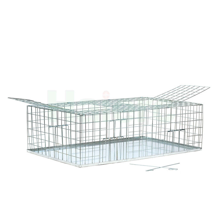 Haierc Foldable Galvanised Pigeon Trap Cage Feral Pigeon Trap HC1607