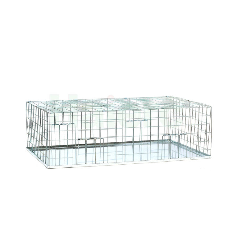 Haierc Foldable Galvanised Pigeon Trap Cage Feral Pigeon Trap HC1607
