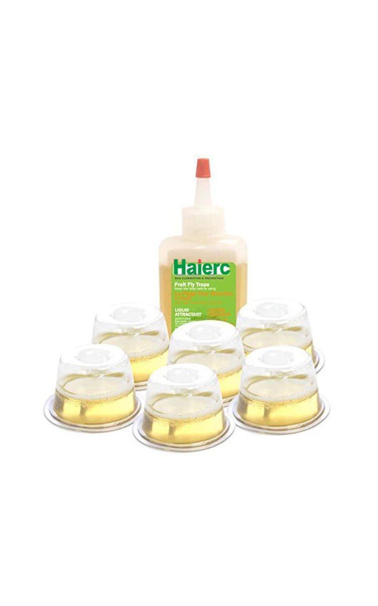 Haierc Indoor Fruit Fly Trap With Attraction Bait