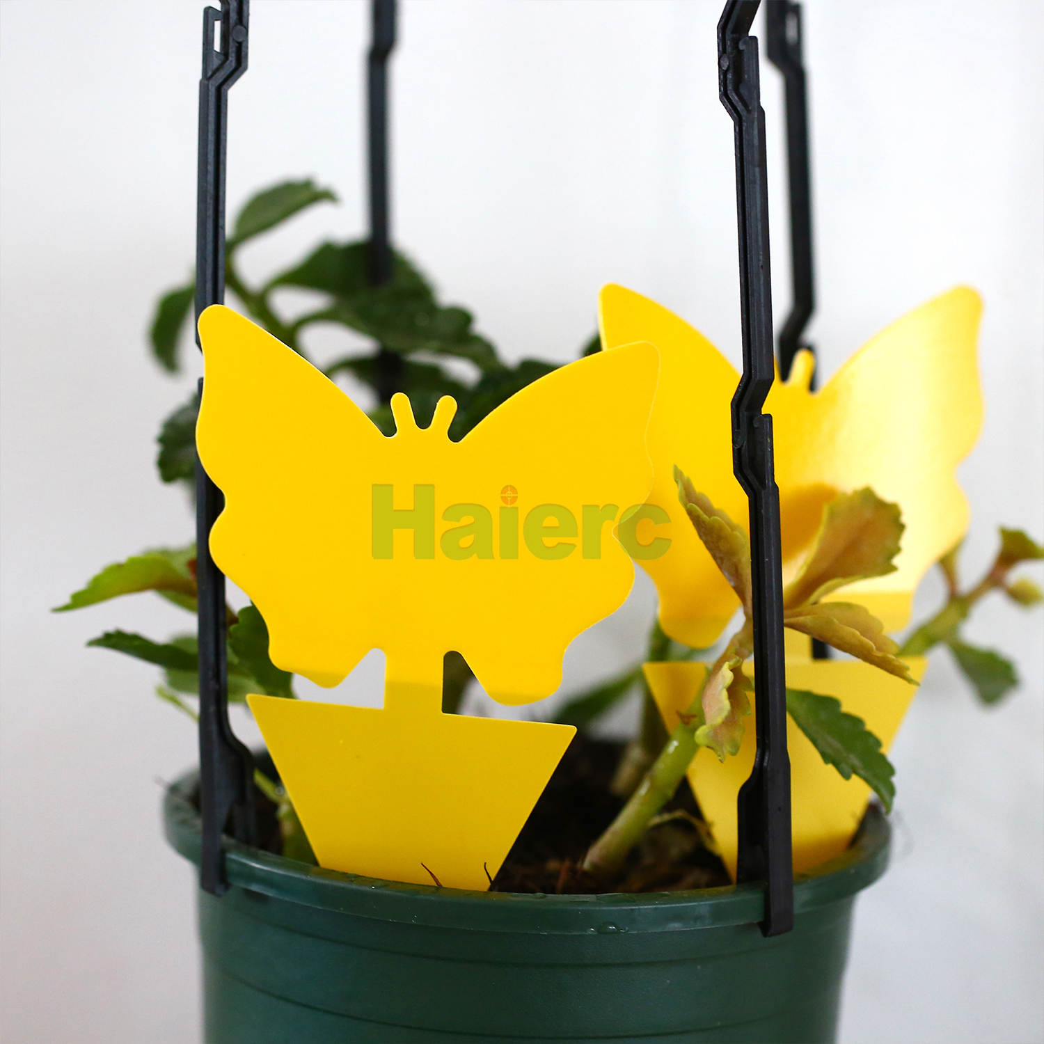 Haierc High Quality Durable Insect Fly killer Yellow Sticky Trap