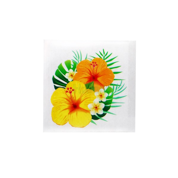 Haierc fly sticky traps fly catcher fly glue trap board flower fly trap HC4102