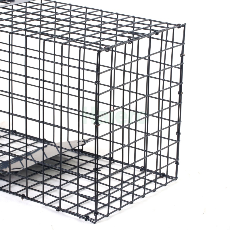 Foldable Humane Live Animal Trap Cage 62.5x21.5x19.1cm Heavy Duty Wire Mesh Pest Control Catch Cage for Stray Cats, Rabbits, Raccoons, Opossums