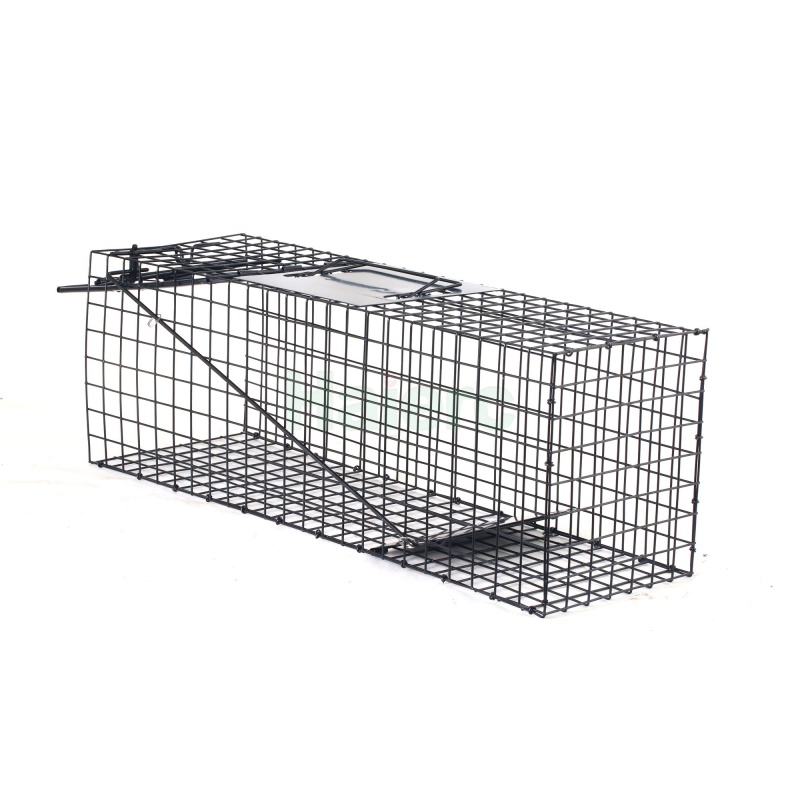 Foldable Humane Live Animal Trap Cage 62.5x21.5x19.1cm Heavy Duty Wire Mesh Pest Control Catch Cage for Stray Cats, Rabbits, Raccoons, Opossums