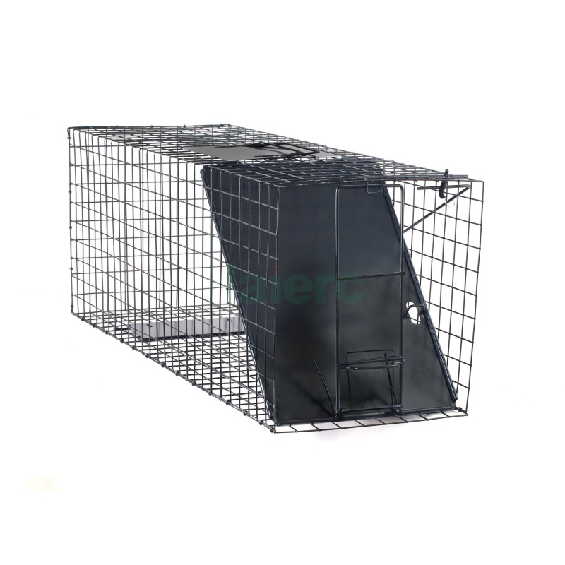 Large Live Animal Trap Cage 83.5x29x31.2cm Heavy Duty Foldable Humane Catch Cage for Raccoons, Stray Dogs, Cats, Groundhogs, Opossums
