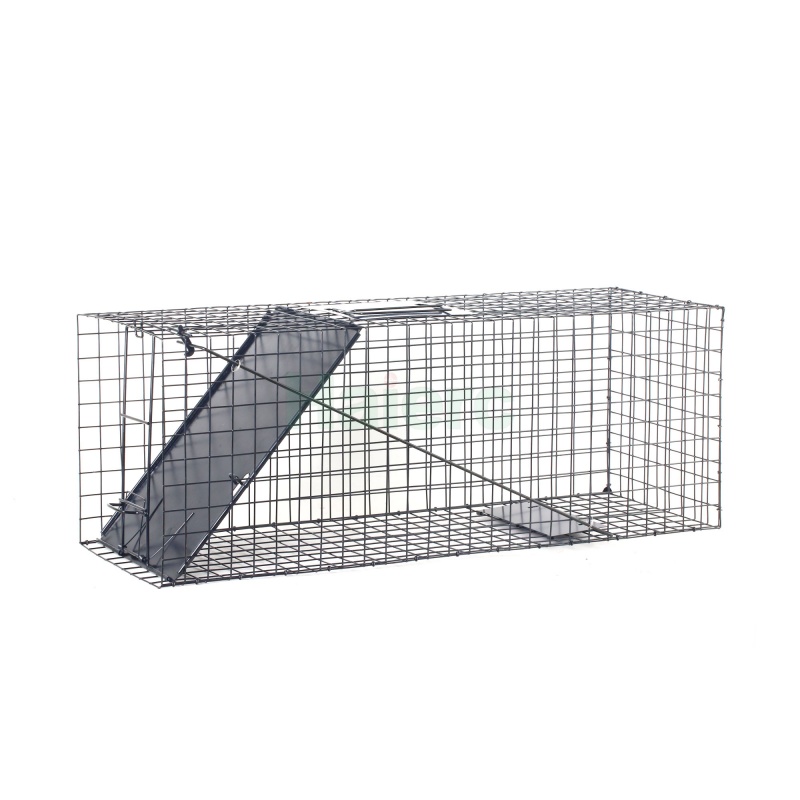 Large Live Animal Trap Cage 83.5x29x31.2cm Heavy Duty Foldable Humane Catch Cage for Raccoons, Stray Dogs, Cats, Groundhogs, Opossums