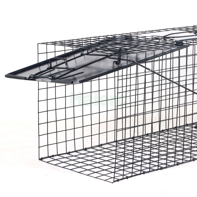 Large Live Animal Trap Cage 83.5x29x31.2cm Heavy Duty Foldable Humane Catch Cage for Raccoons, Stray Dogs, Cats, Groundhogs, Opossums