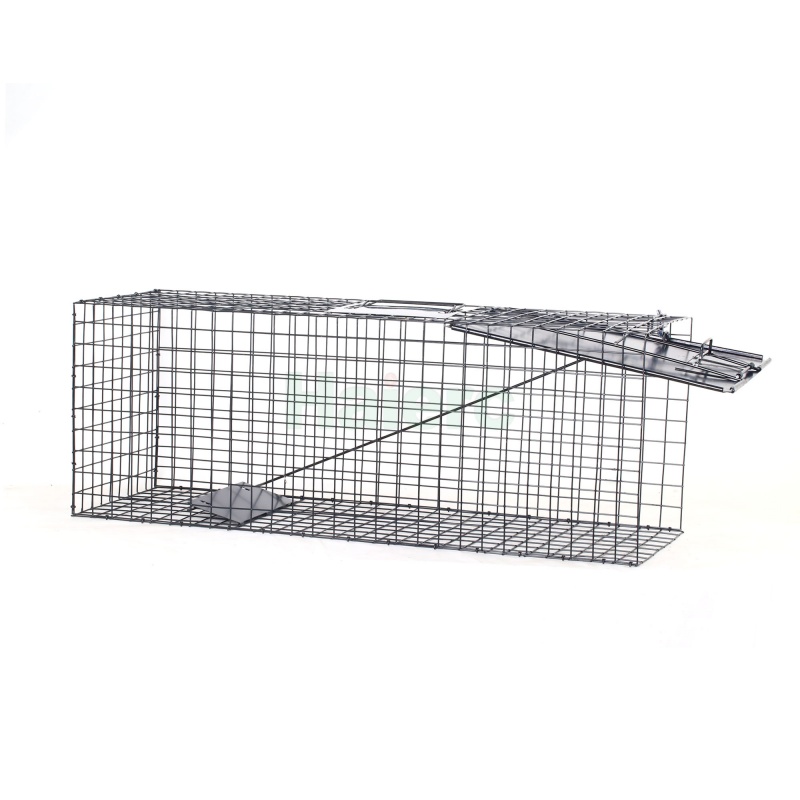 Large Live Animal Trap Cage 83.5x29x31.2cm Heavy Duty Foldable Humane Catch Cage for Raccoons, Stray Dogs, Cats, Groundhogs, Opossums