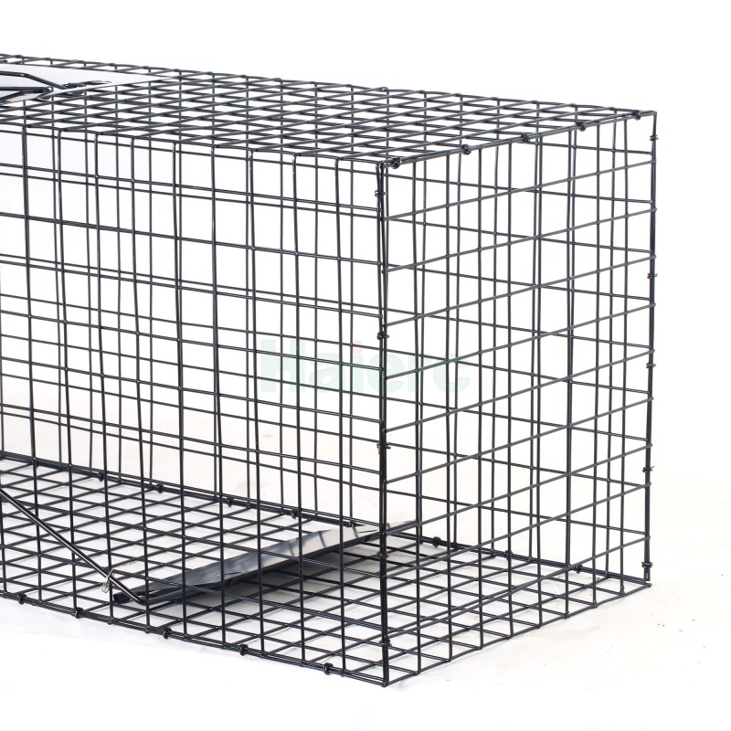 Large Live Animal Trap Cage 83.5x29x31.2cm Heavy Duty Foldable Humane Catch Cage for Raccoons, Stray Dogs, Cats, Groundhogs, Opossums