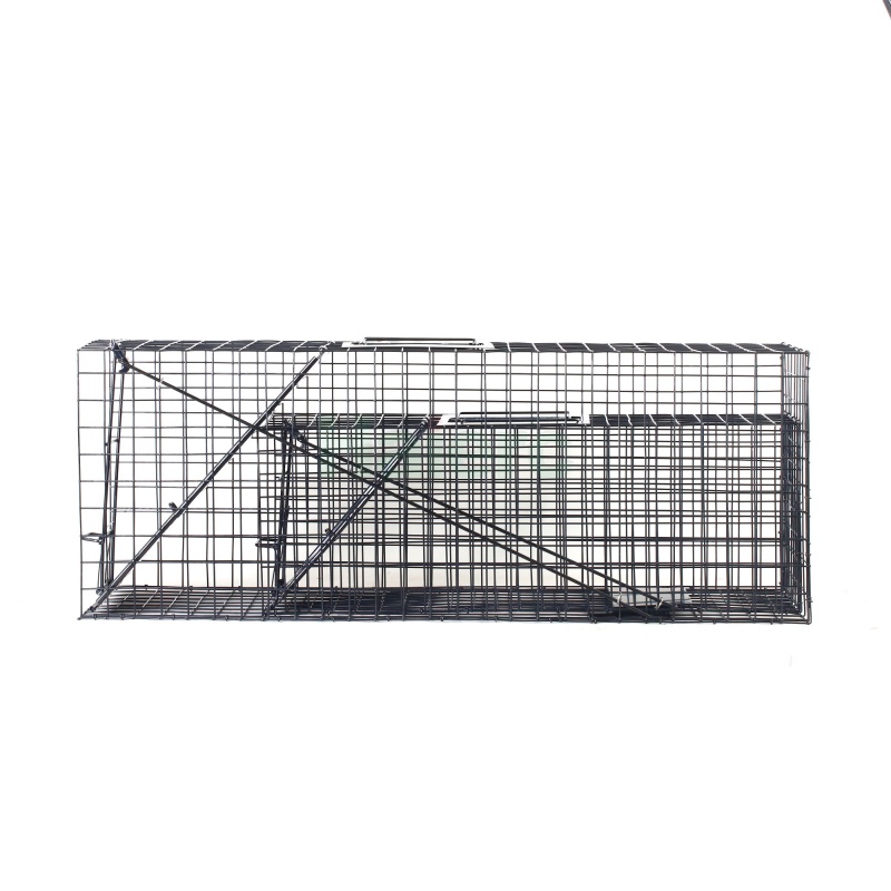 Large Live Animal Trap Cage 83.5x29x31.2cm Heavy Duty Foldable Humane Catch Cage for Raccoons, Stray Dogs, Cats, Groundhogs, Opossums