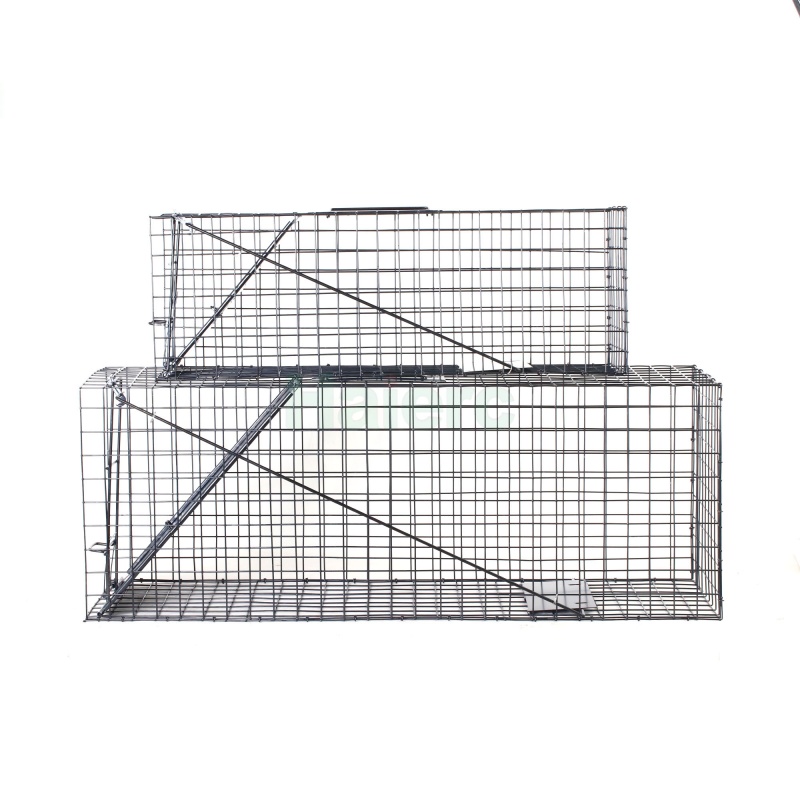 Large Live Animal Trap Cage 83.5x29x31.2cm Heavy Duty Foldable Humane Catch Cage for Raccoons, Stray Dogs, Cats, Groundhogs, Opossums