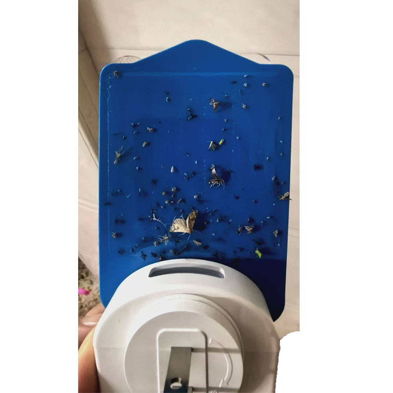 Haierc Dual-Sided UV Mosquito Killer Lamp with 8 UV LED Beads and Replaceable Sticky Glue Cards
