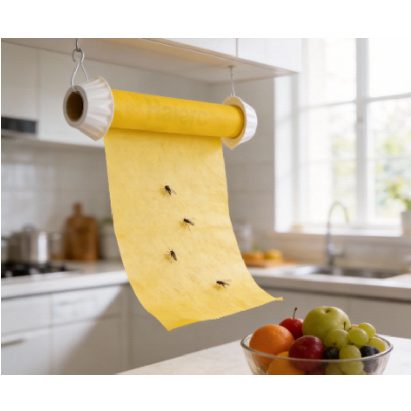 Haierc Plastic Fly Trap Sticky Tape Disposable Insect Trap Fly Professional Sticky Fly Trap Commercial Flies Traps